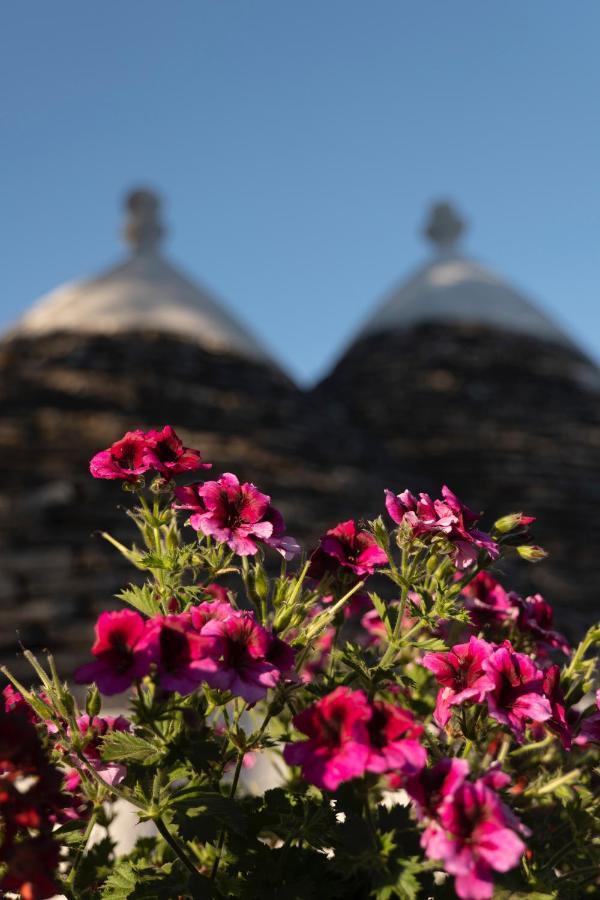 Villa Trulli Ulivi Putignano Exterior foto